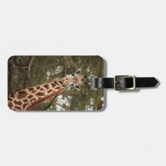 Giraffe Luggage Tag