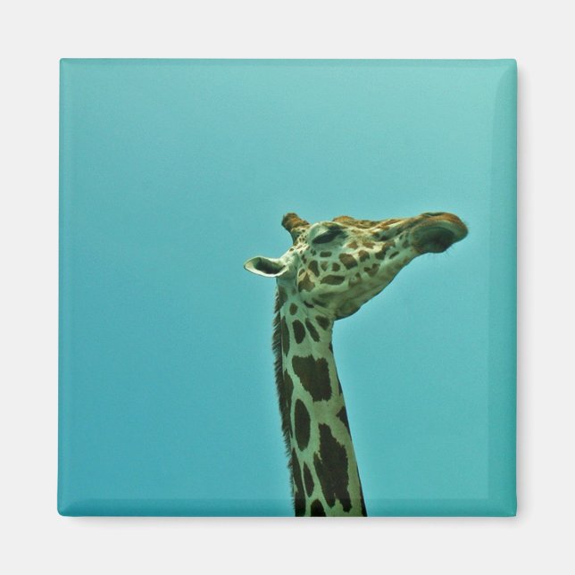 giraffe magnet (Front)