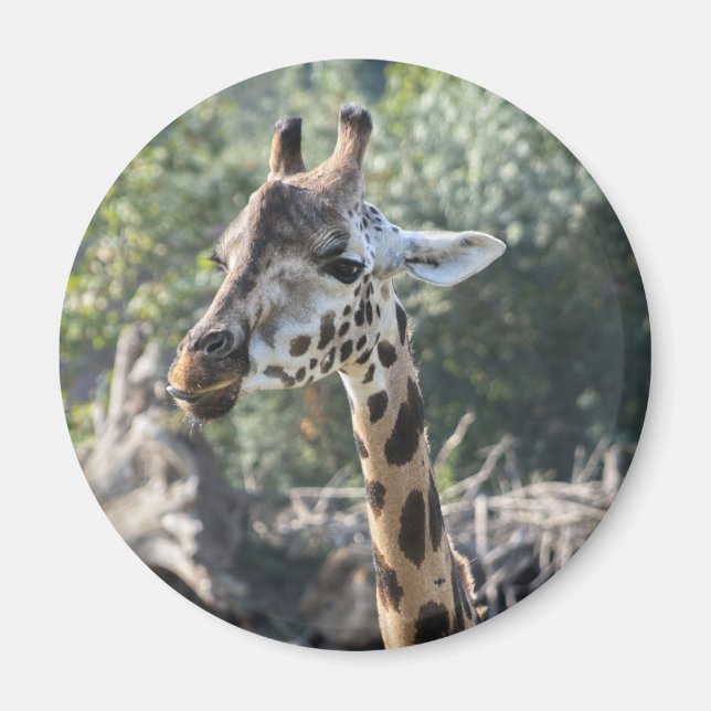 Giraffe Magnet (Front)