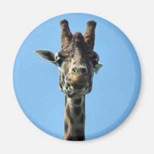 GIRAFFE MAGNET