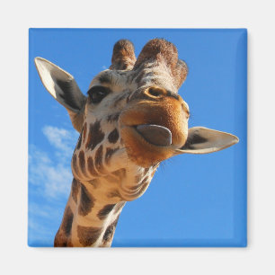 Giraffe Magnet