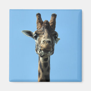 GIRAFFE MAGNET