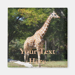 Giraffe Magnet