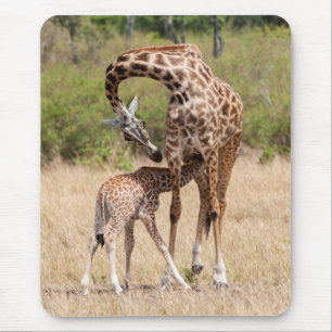 Giraffe Mother and Baby in Kenya Mouse Mat