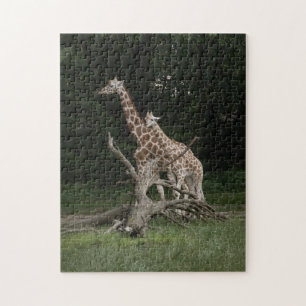 Giraffe Mother and Calf puzzle