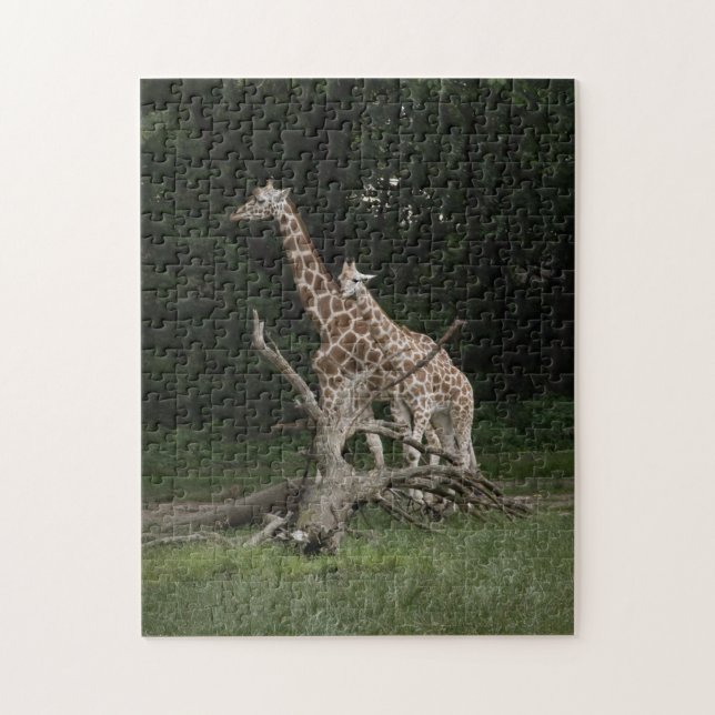 Giraffe Mother and Calf puzzle (Vertical)