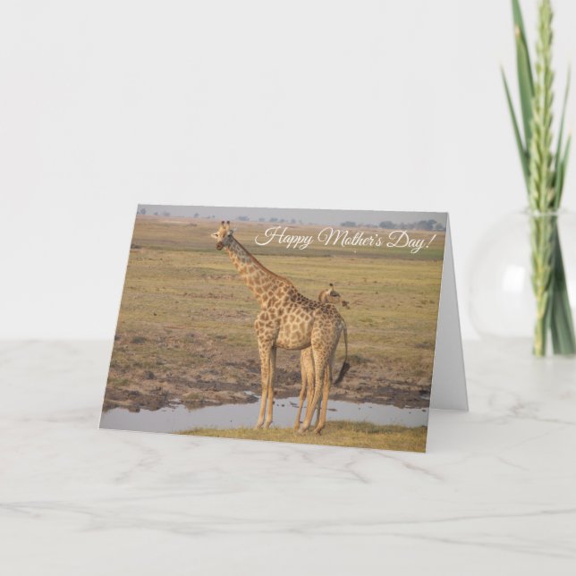 Giraffe Mother's Day Card (Front)
