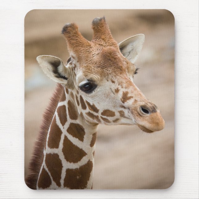 giraffe mouse mat (Front)