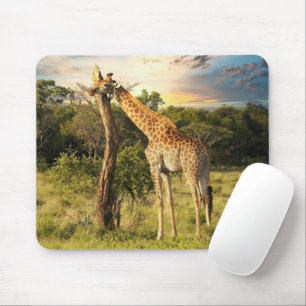 Giraffe mouse mat