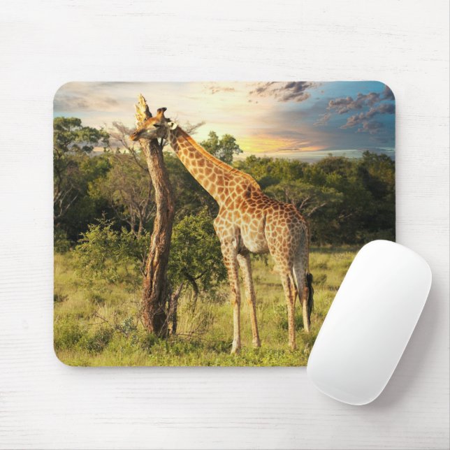 Giraffe  mouse mat (With Mouse)