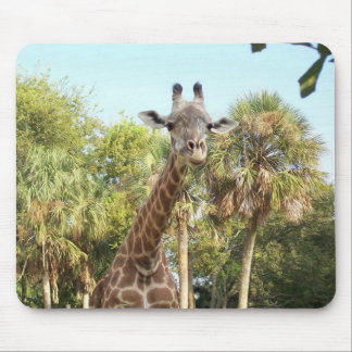 Giraffe Mouse Mat