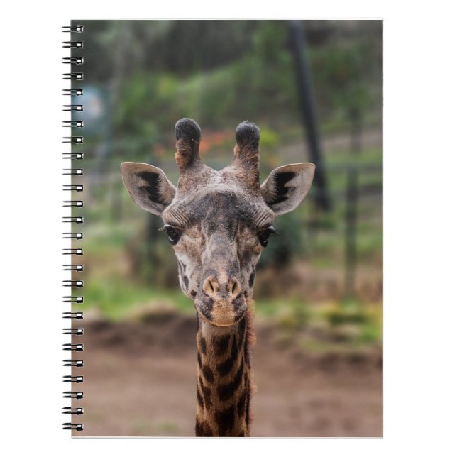 Giraffe notebook (Front)