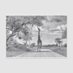 Giraffe on the road tissue paper
