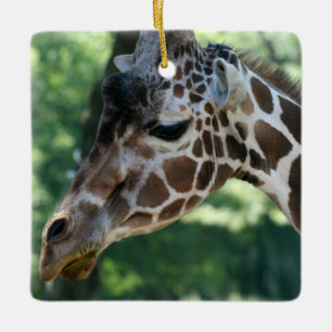 Giraffe Ornament
