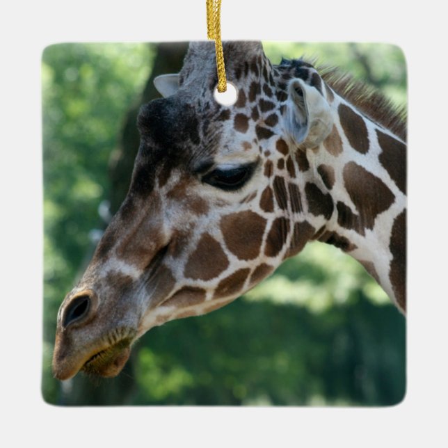Giraffe Ornament (Front)