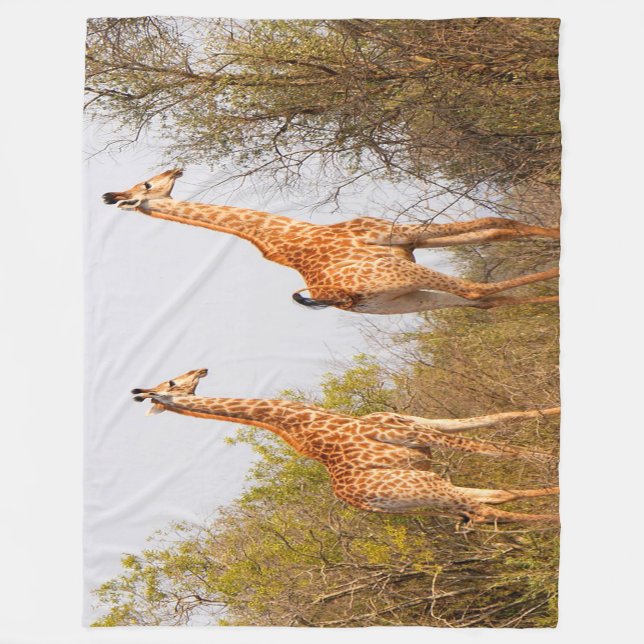 Giraffe Pair Fleece Blanket (Front)