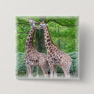 Giraffe Pair Square Pin