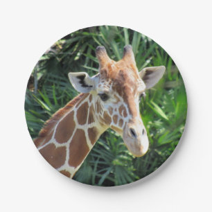 Giraffe Paper Plate