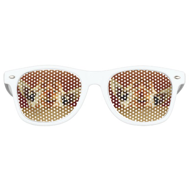 Giraffe Party Sunglasses (Front)