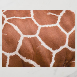 Giraffe pattern flyer