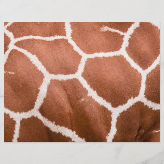 Giraffe pattern flyer (Front)