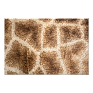 Giraffe pattern photo print
