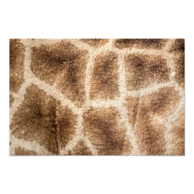 Giraffe pattern photo print (Front)