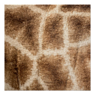 Giraffe pattern poster