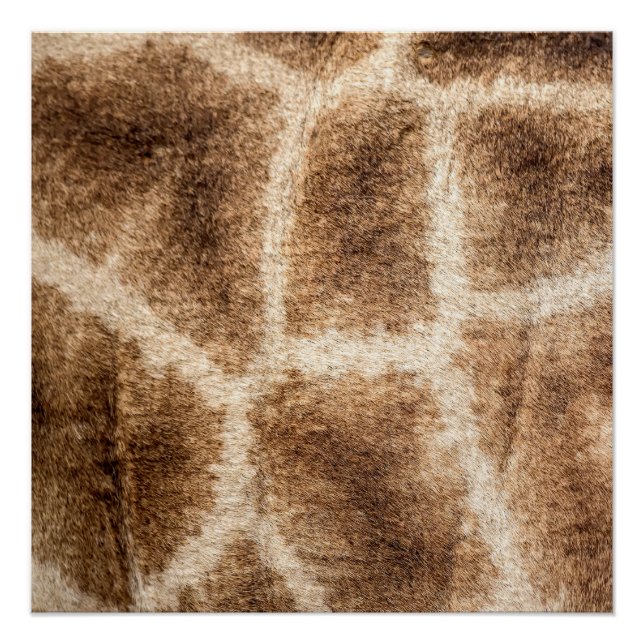 Giraffe pattern poster (Front)