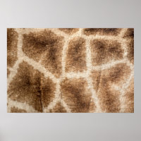 Giraffe pattern