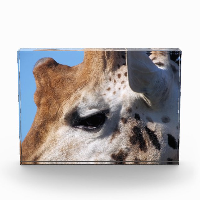 GIRAFFE  PHOTO BLOCK (Front)