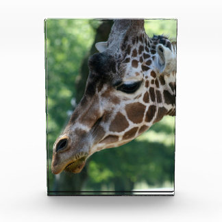 Giraffe Photo Block