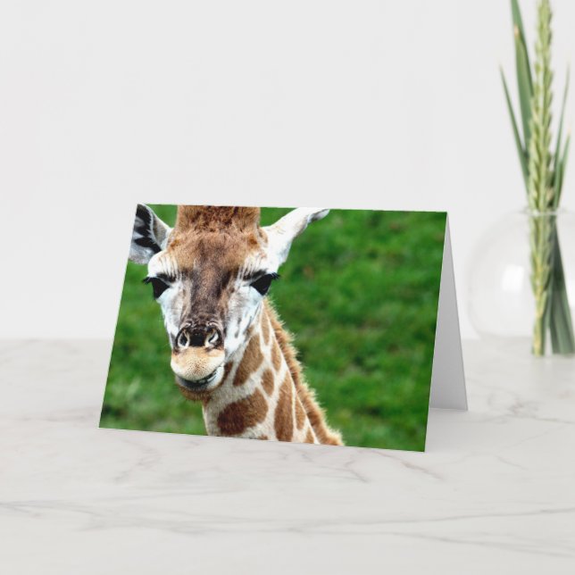 Giraffe Photo Greeting Card (Front)