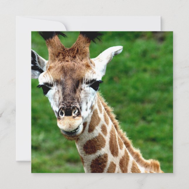 Giraffe Photo Invitation (Front)