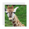 Giraffe Photo Invitation
