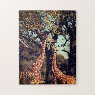 Giraffe Photo  Jigsaw Puzzle