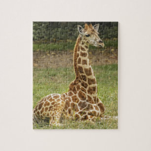 Giraffe Photo Jigsaw Puzzle