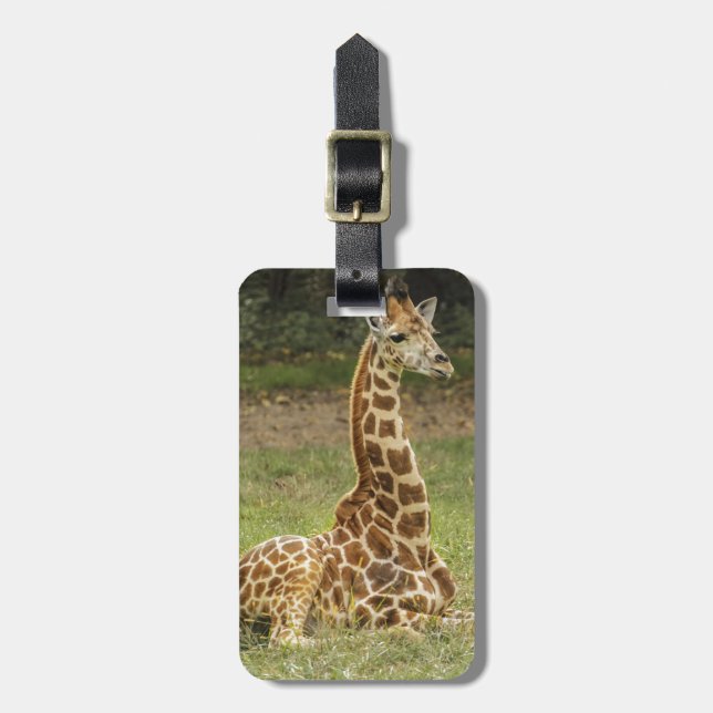 Giraffe Photo Luggage Tag (Front Vertical)