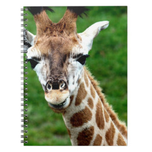 Giraffe Photo Notebook