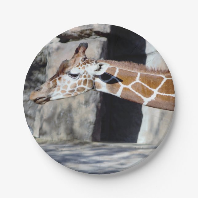 Giraffe Photo Paper Plate (Front)