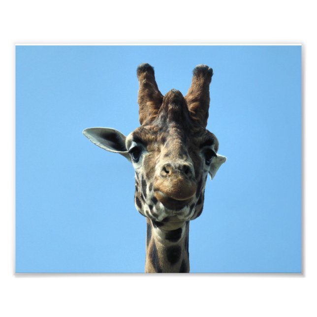 GIRAFFE PHOTO PRINT (Front)
