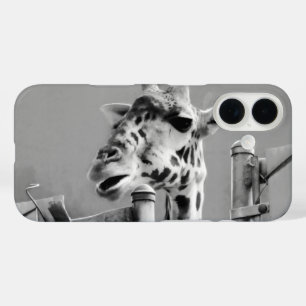 Giraffe Photograph - Black and White iPhone 16 Case