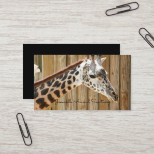Giraffe Photograph Business Cards