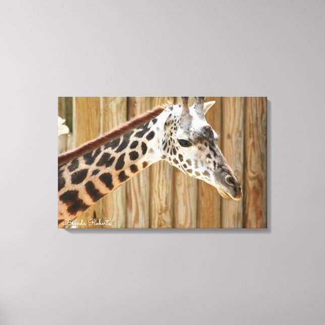 Giraffe Photograph Prints (Front)