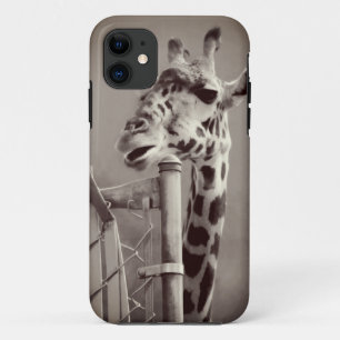 Giraffe Photograph - Vintage Style iPhone 11 Case