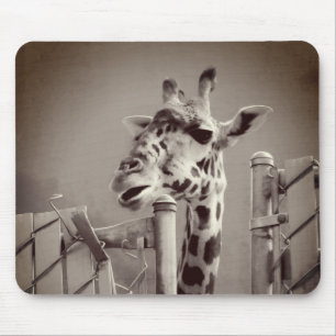 Giraffe Photograph - Vintage Style Mouse Mat