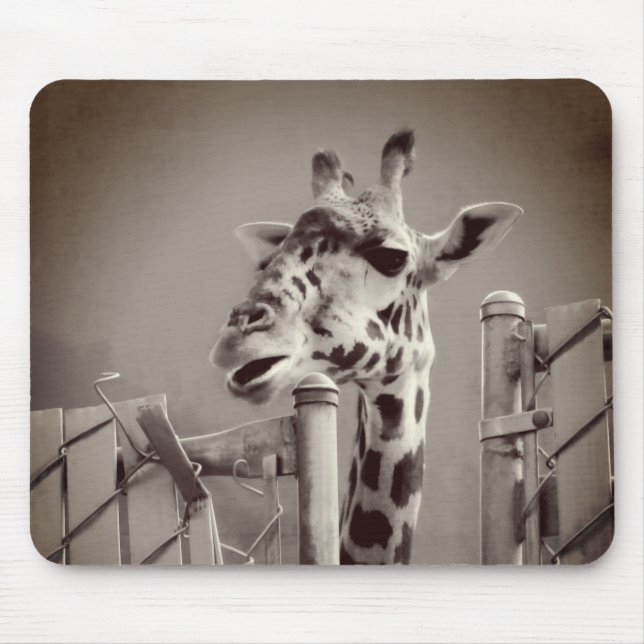 Giraffe Photograph - Vintage Style Mouse Mat (Front)