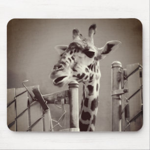 Giraffe Photograph - Vintage Style Mouse Mat