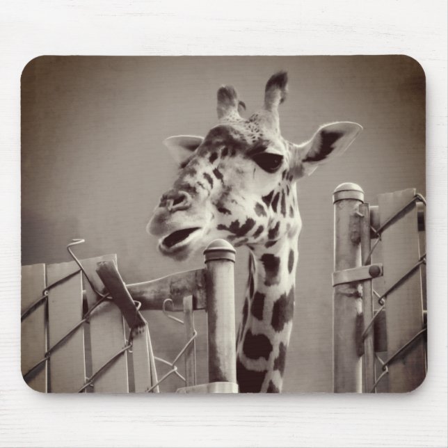 Giraffe Photograph - Vintage Style Mouse Mat (Front)