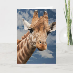 GIRAFFE PHOTOGRAPHY BIRTHDAY CARD